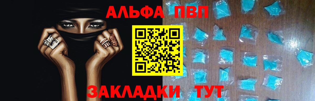Alfa_PVP СК КРИС Краснодар