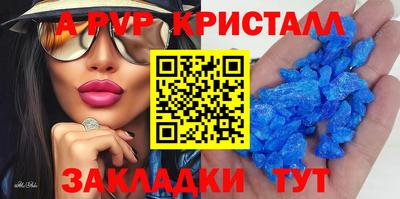 крисы Камышлов