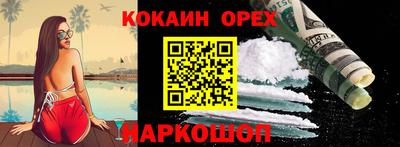 крисы Камышлов