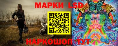 крисы Камышлов
