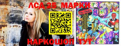 крисы Камышлов