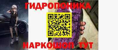 крисы Камышлов