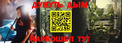 крисы Камышлов