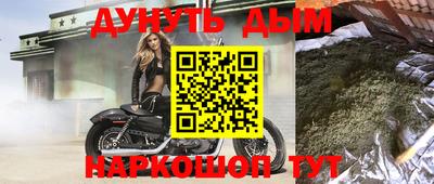 крисы Камышлов