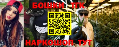 крисы Камышлов