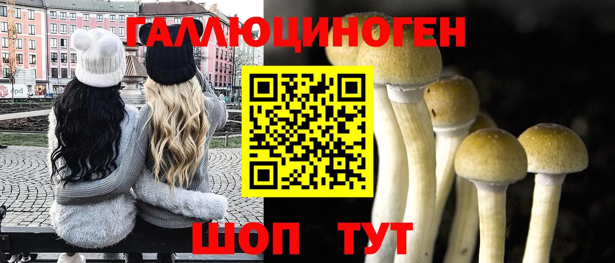 Псилоцибиновые грибы мухоморы Краснодар